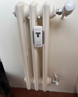 Radiatore in ghisa