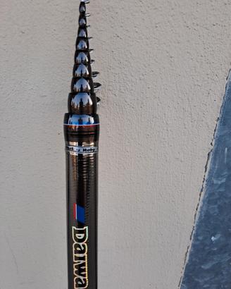 bolognese daiwa 