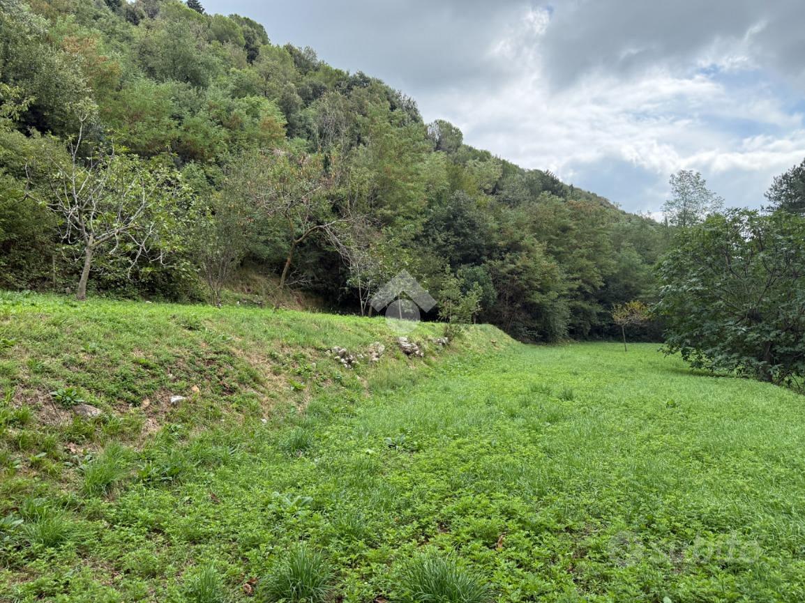 TER. AGRICOLO A PROVAGLIO D'ISEO - Vista 3