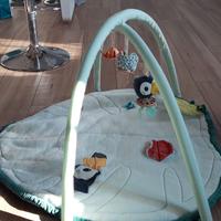 Palestrina Lilliputiens