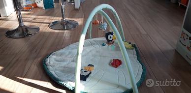 Palestrina Lilliputiens