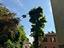 Immagine 26