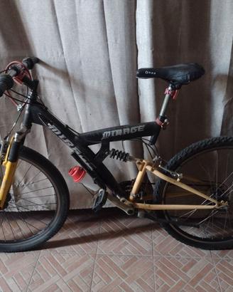 MTB biammortizzata
