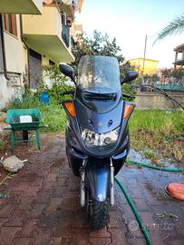 majesty 250