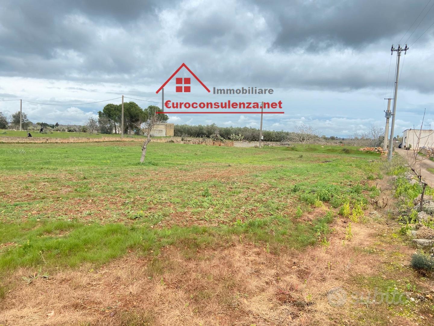 Grande terreno con pajiara - Vista 3