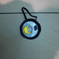Torcia fenix