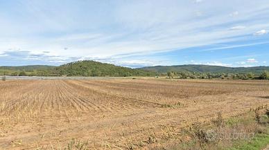 Terreno artigianale Siena
