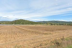 Terreno artigianale Siena