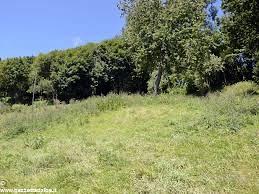 C.e.r.c.o TERRENO in provincia modena