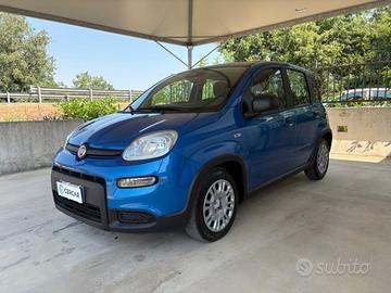 FIAT Pandina 1.0 FireFly 70 CV Hybrid Icon COME