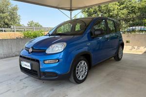 FIAT Pandina 1.0 FireFly 70 CV Hybrid Icon COME