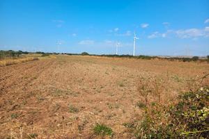 terreno seminativo  a4 chilometri da Castellaneta 