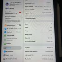 Ipad Air 5 Generazione