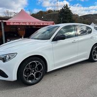Alfa Romeo Stelvio 2.2 Turbodiesel 210 CV AT8 Q4 V