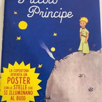 Libro il piccolo principe