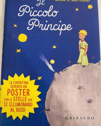 Libro il piccolo principe