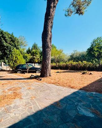 Casa singola con taverna e ampio scoperto