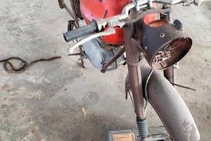 MV Agusta Altro modello - 1957