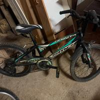 Bicicletta 20 pollici