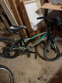 Bicicletta 20 pollici