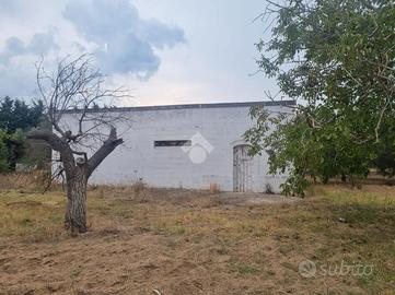 VILLA SINGOLA A FRANCAVILLA FONTANA