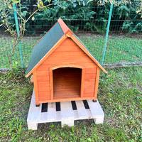 Cassetta per cane taglia media