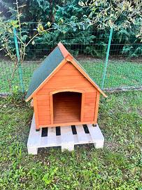 Cassetta per cane taglia media