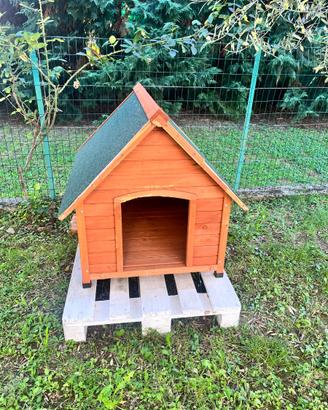 Cassetta per cane taglia media