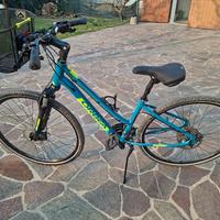 bicicletta da treck