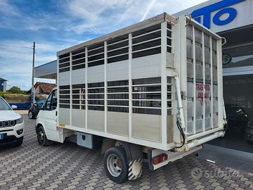 Ford Transit 2.5 diesel TRASPORTO ANIMALI VIVI - B