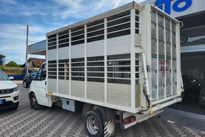 Ford Transit 2.5 diesel TRASPORTO ANIMALI VIVI - B