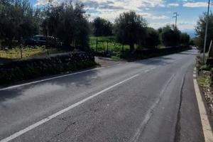 Santa maria di licodia-terreno agricolo id:sml048t