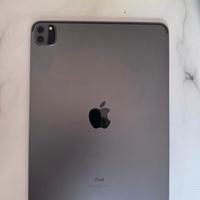 iPad Pro 11" Space Gray- 256GB