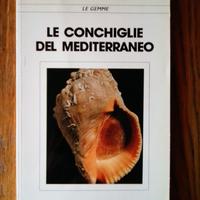 LE CONCHIGLIE DEL MEDITERRANEO ed altri libri