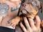 Immagine 8