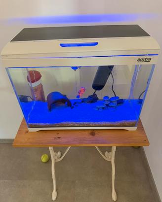 Acquario