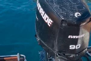 evinrude e-tec 90