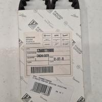 Cinghia distribuzione Porter