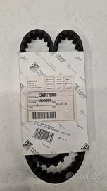 Cinghia distribuzione Porter