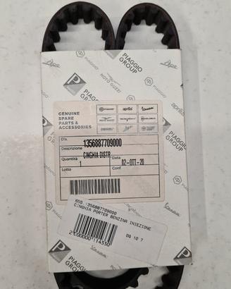 Cinghia distribuzione Porter