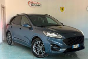 Ford Kuga 1.5 EcoBlue 120 CV 2WD ST-Line