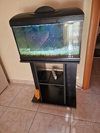acquario  amtra 60  litri completo