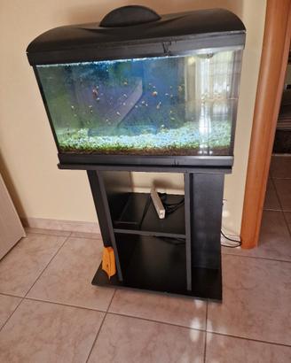 acquario  amtra 60  litri completo