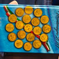 Manuale del collezionista di monete Italiane 