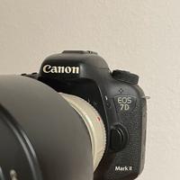 CANON 7d mark II / Canon 70-200