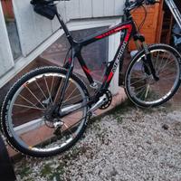 MTB telaio interamente in carbonio 