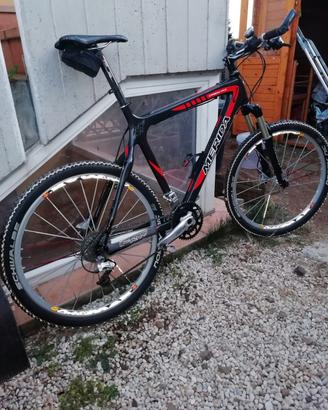 MTB telaio interamente in carbonio 