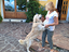 Immagine 6