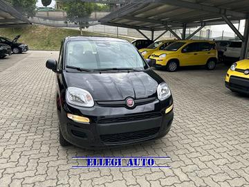 FIAT Panda 1.0 HYBRID ICON 5 posti KM 0