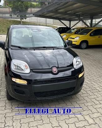 FIAT Panda 1.0 HYBRID ICON 5 posti KM 0
